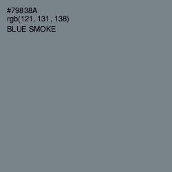 #79838A - Blue Smoke Color Image